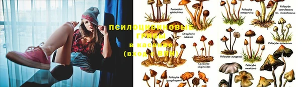 экстази Майский