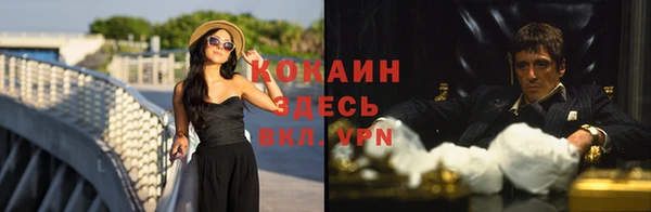 бошки Магас