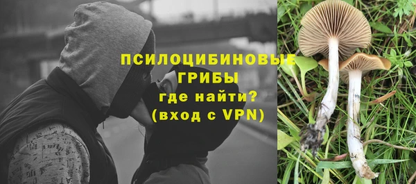 бошки Магас