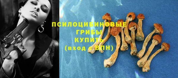 прущая мука Магадан