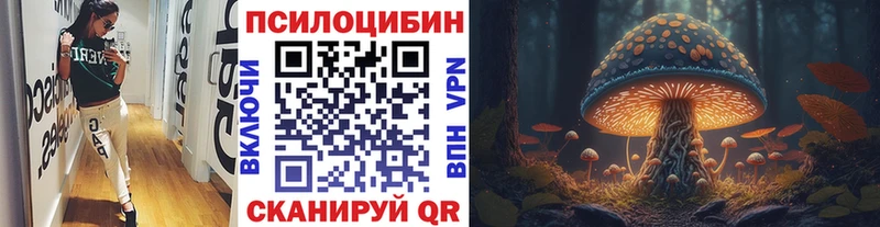 где найти наркотики  Трёхгорный  Галлюциногенные грибы Cubensis 